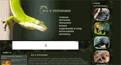 Desktop Screenshot of abracadabra-recordings.ru